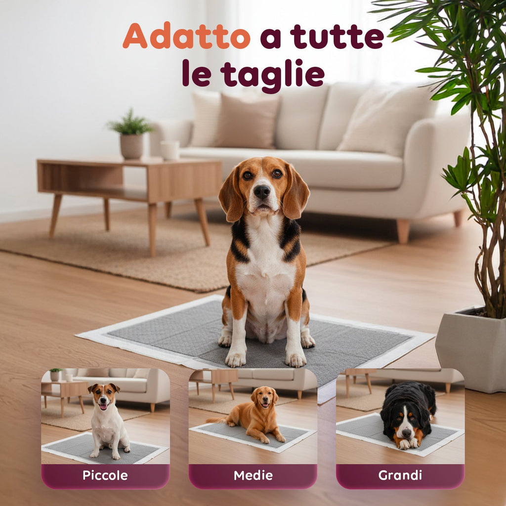 Tappetini Igienici Assorbenti al Carbone Attivo 60×60 – Set Multi-Formato Antiodore con Adesivi