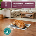 Tappetini Igienici Assorbenti al Carbone Attivo 60×60 – Set Multi-Formato Antiodore con Adesivi