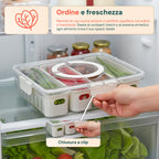 Contenitore con 4 scomparti in PP – Chiusura a clip e funzione scolapiatti