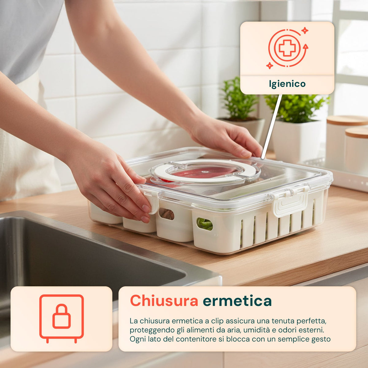 Contenitore con 4 scomparti in PP – Chiusura a clip e funzione scolapiatti