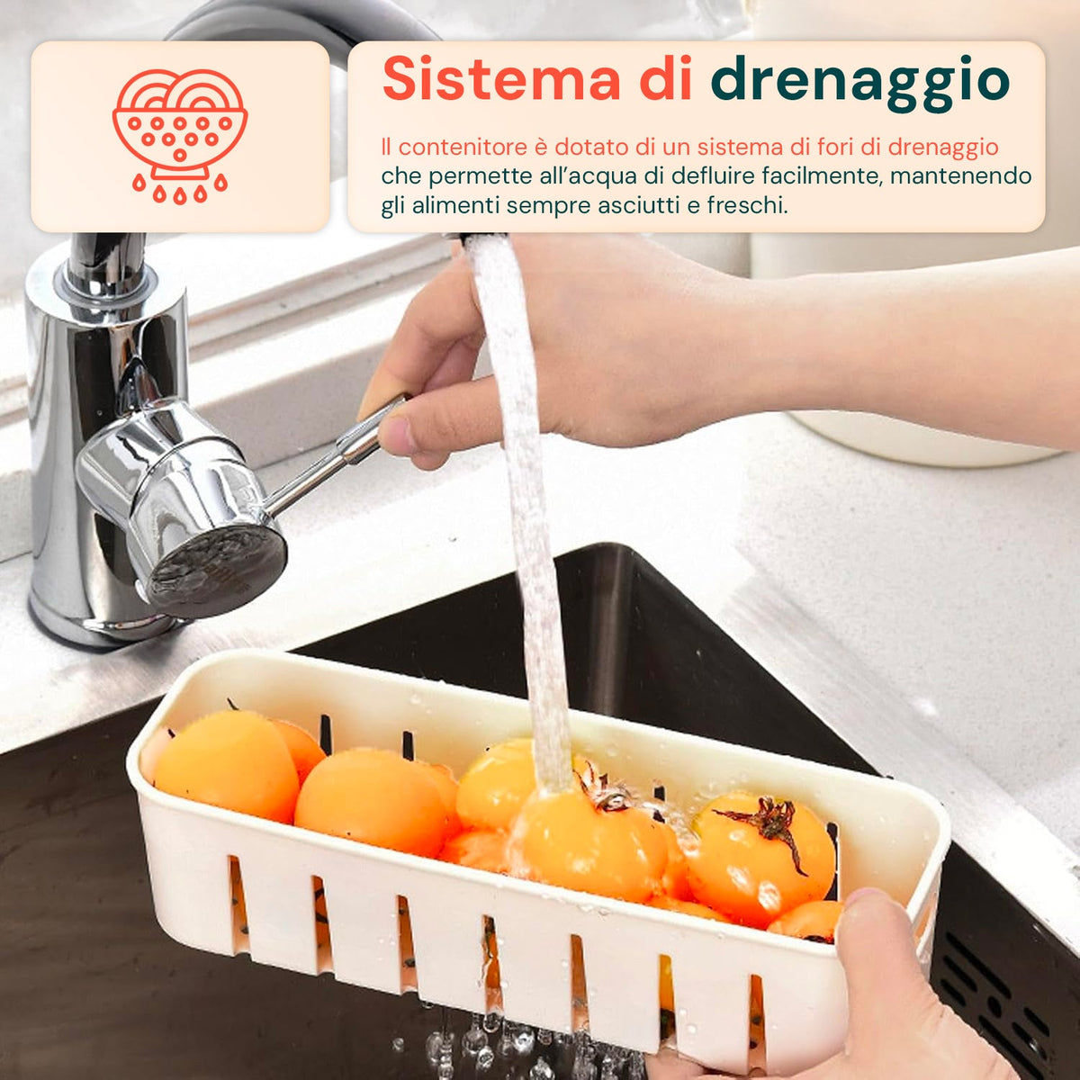 Contenitore con 4 scomparti in PP – Chiusura a clip e funzione scolapiatti