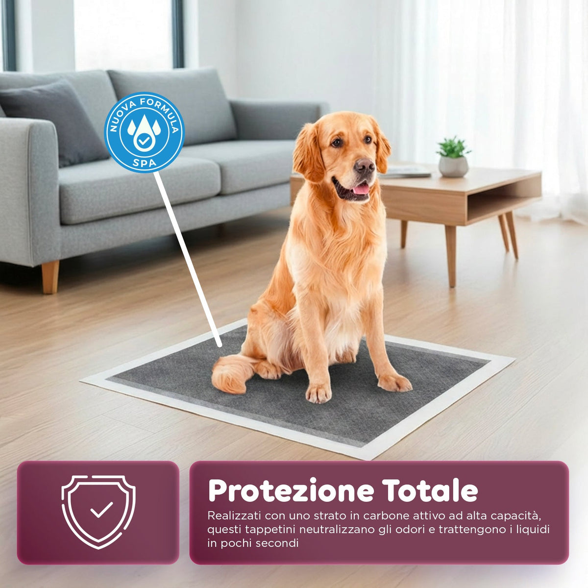 Tappetini Igienici Assorbenti al Carbone Attivo 60×60 – Set Multi-Formato Antiodore con Adesivi