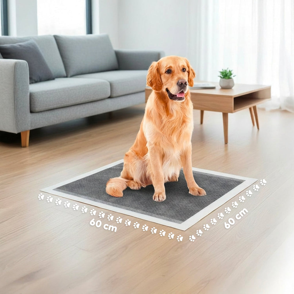 Tappetini Igienici Assorbenti al Carbone Attivo 60×60 – Set Multi-Formato Antiodore con Adesivi