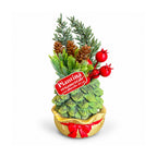 Piantina ornamentale con alberello 20 cm, decorazione natalizia da tavolo con pigne, bacche rosse e fiocco in rilievo, 2 varianti rosso e oro