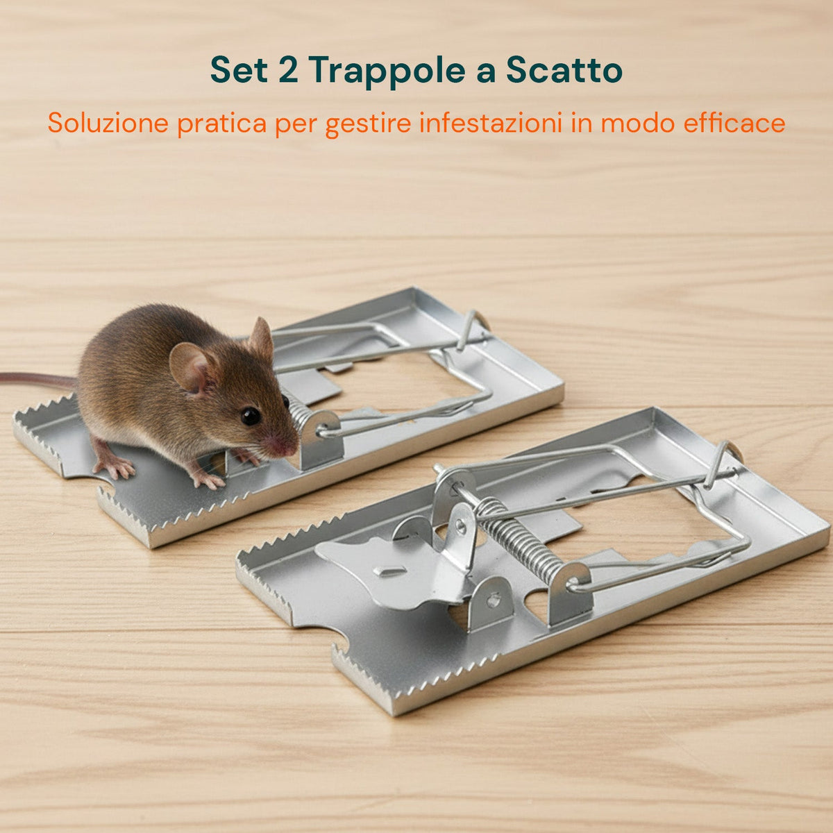 Set di 2 Trappole per Topi a Scatto in Metallo per Interni ed Esterni