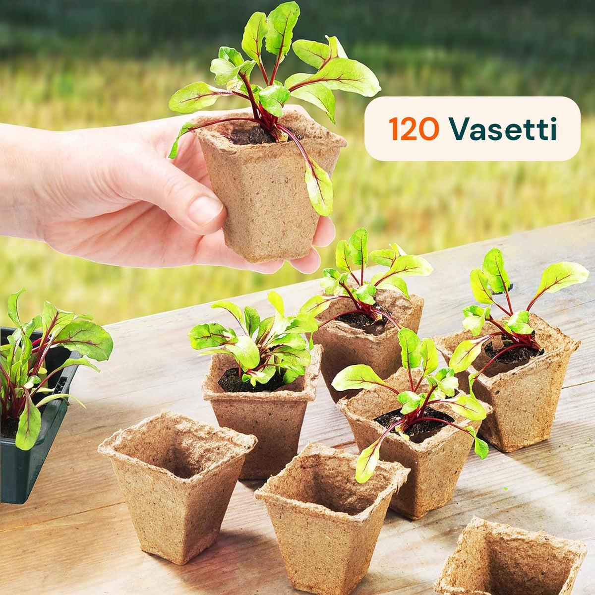 Vasetti in Torba Biodegradabili per Semina e Trapianto – Set 120 Pezzi