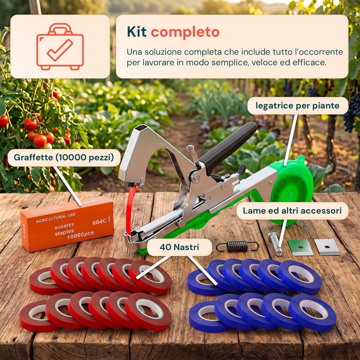 Macchina Legatrice per Piante Professionale in Acciaio con Kit 40 Nastri Bicolore e 10.000 Graffette – 31 cm